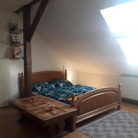 아파트 Podkrovni 올로모우츠